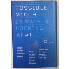 POSSIBLE MINDS 25 WAYS OF LOOKING AT AI , edited by JOHN BROCKMAN , 2018