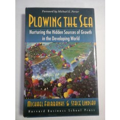 PLOWING THE SEA Nurturing the Hidden Sources of Growth in the Developing World - Michael FAIRBANKS * Stace LINDSAY