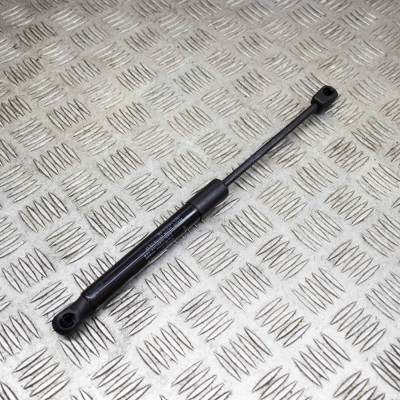 Amortizor capota st&amp;acirc;nga față JAGUAR E-PACE X540 2020 OEM: J9C3-16C826-AB 13976826 foto