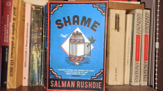Shame - Salman Rushdie foto