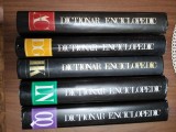 Cumpara ieftin Dictionar enciclopedic 5 volume
