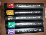 Dictionar enciclopedic 5 volume