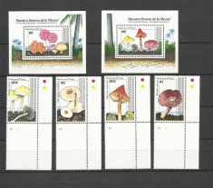 NEVIS 1991 CIUPERCI foto