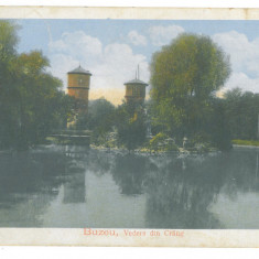 484 - BUZAU, Park, Romania - old postcard, CENSOR - used - 1917