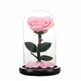 Trandafir Criogenat inima roz &Oslash;8cm in cupola 10x20cm