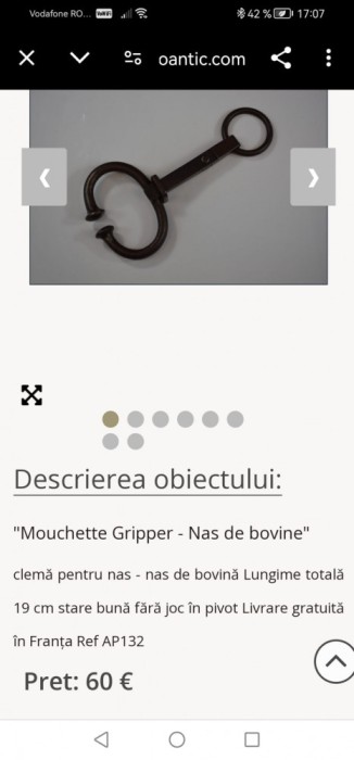 Inel vintage pentru nas de bovina 2