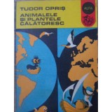 ANIMALELE SI PLANTELE CALATORESC-TUDOR OPRIS-126636