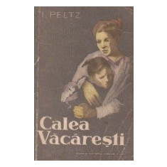 Calea Vacaresti - roman