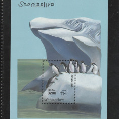 Somalia 2001-Fauna,Pinguini,colita dantelata,MNH,Bl.77