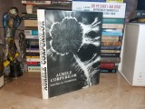 Aurele Corpurilor: Interfete cu Cosmosul - Cornelia Guja, 1993, Ezoterism, Ilustratii, Editura Enciclopedica