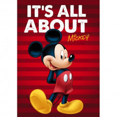 Paturica copii Mickey Red Star ST55888 B3406514 foto