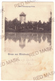 1551 - SEBES, Alba, Romania - old postcard - used - 1903