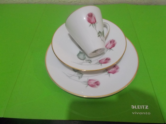 SET intim pentru CAFEA si DESERT din portelan HUTSCHENREUTHER , decor TRANDAFIRI