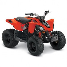 Can-Am DS 90 &amp;#039;19 foto