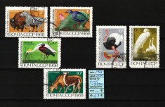 Rusia, URSS, 1968 | Animale din rezervaţii naturale sovietice | Completă | aph foto