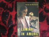 n8 Lumina in amurg - Xavier de Montepin