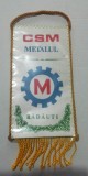 M3 C7 - Tematica cluburi sportive - CSM Metalul Radauti