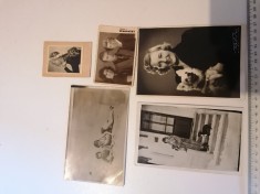 LOT 5 POZE / FOTOGRAFII/ VECHI ALB NEGRU / CARTE POSTALA , ANII 20-30