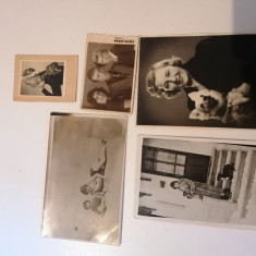 LOT 5 POZE / FOTOGRAFII/ VECHI ALB NEGRU / CARTE POSTALA , ANII 20-30