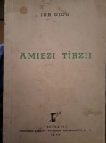 Amiezi tarzii- Ion Ojog, princeps
