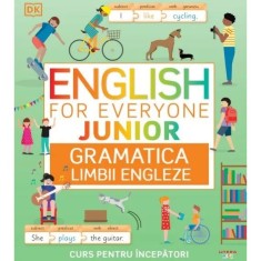 English for everyone. Junior. Gramatica limbii engleze