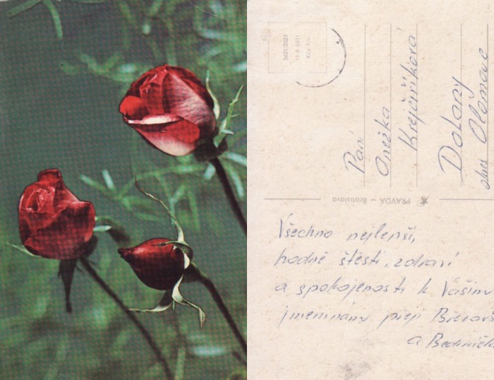Ilustrata Slovacia-Felicitare flori