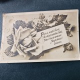 Carte postala Mihai Eminescu - Noapte Buna , editor A. HOROWITZ anii 1905-1915