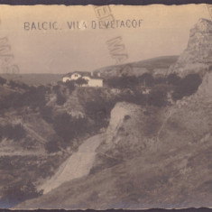 4046 - BALCIC, Dobrogea, Romania - old postcard, real Photo - unused