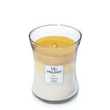 Lumanare parfumata - Trilogy Fruits of Summer, Medium Jar | WoodWick