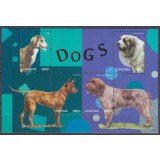 TANZANIA 2013 FAUNA ANIMALE DOMESTICE CAINI 2 FOTO