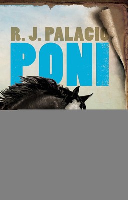 Poni / Pony foto