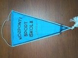 FANION CLUB SPORTIV BUDAPESTA BASCHET , ANII 1970 INTERESANT