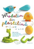 Cumpara ieftin Modelam din plastilina