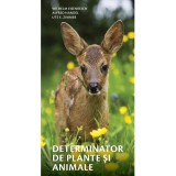 Determinator de plante E, i animale - Wilhelm Eisenreich, Alfred Handel, Ute E. Zimmer
