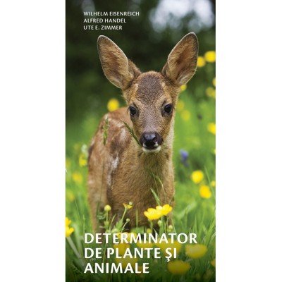 Determinator de plante E, i animale - Wilhelm Eisenreich, Alfred Handel, Ute E. Zimmer foto