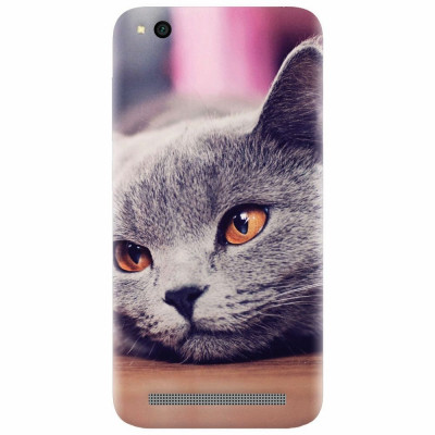 Husa silicon pentru Xiaomi Redmi 4A, British Shorthair Cat Yellow Eyes Portrait foto