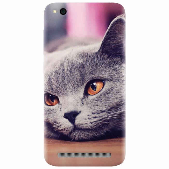 Husa silicon pentru Xiaomi Redmi 5A, British Shorthair Cat Yellow Eyes Portrait