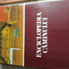 Enciclopedia caminului