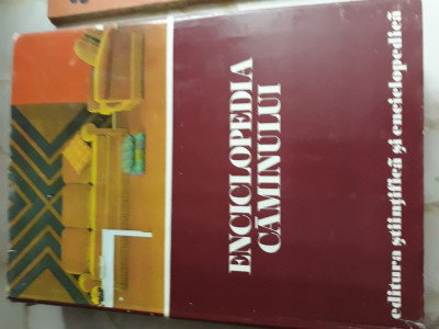 Enciclopedia caminului foto