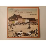 Sorina Bota (dedicație) - Poveștile orașului: clădiri (Sibiu, 2011)