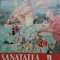REVISTA SANATATEA PICNIC