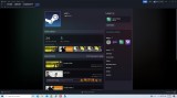 Cont steam 18 ani, 26 games
