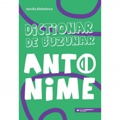 Dictionar de buzunar. Antonime - Barbulescu Aurelia