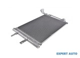 Radiator aer conditionat Opel Meriva A (2003-2010)[X03] #1