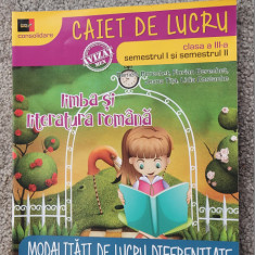 LIMBA SI LITERATURA ROMANA CLASA A III A CAIET DE LUCRU BERECHET TITA