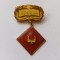 Insigna- Comandant Instructor
