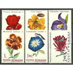 1971 - Flori, serie neuzata