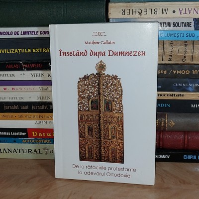 MATTHEW GALLATIN - INSETAND DUPA DUMNEZEU , 2005 * foto