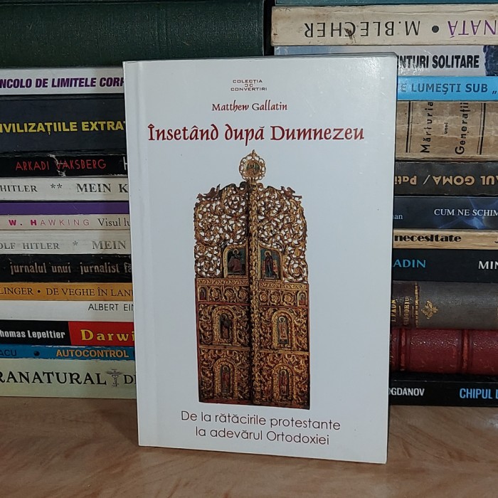 MATTHEW GALLATIN - INSETAND DUPA DUMNEZEU , 2005 *