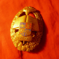 Insigna Academia Militara - Alma Mater , bronzata , h=6cm